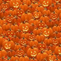 ttDONA-CD4181 ORANGE